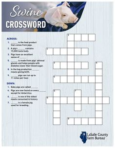 a crossword puzzle with a dog in the middle and an image of a person holding a