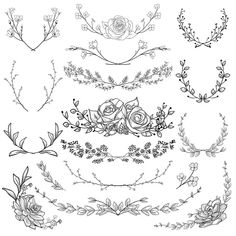 a set of floral design elements in black and white