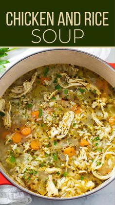 chicken and rice soup in a large pot