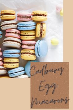 cadbury egg ganache filled macarons for easter Easter Macarons Ideas, Dessert To Make With Kids, Fun Macarons, Easter Macarons Flavors, Easter Coconut Macaroons, Easter Macaroons, Spring Macarons, Egg Macarons, Macaroons Flavors Macaron Filling