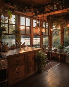 a kitchen with lots of windows and plants on the counter top in front of it