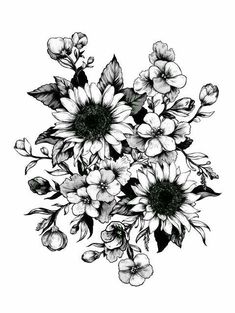 black and white drawing of sunflowers with leaves on the bottom right hand side