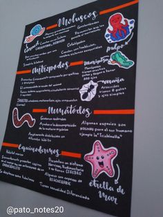 a blackboard with different types of stickers on it and the words octopuses written in spanish