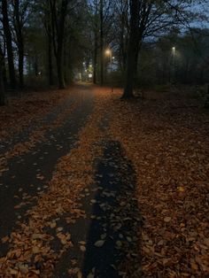 an empty road in the middle of a forest at night with leaves on the ground