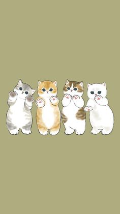 four cats standing in a row on a green background