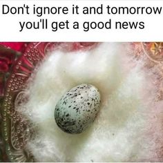 an egg that is sitting on top of some fluffy white stuff with the caption don't ignore it and tomorrow you'll get a good news