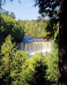 a large waterfall surrounded by trees in the woods