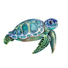 a watercolor painting of a sea turtle on a white background greeting card for sale by person