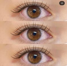 Doll Eye Eyelash Extensions, Eyelash Care, Bold Eyeshadow, Asian Makeup Looks, Make Tutorial, Natural Eyelashes