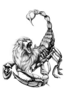 a black and white drawing of a scorpion with the letter c in it's claws