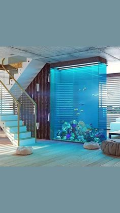 an aquarium in the middle of a living room with blue walls and wooden flooring