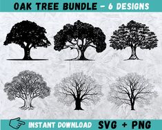 oak tree bundle 6 designs instant digital clipart svg and png for silhouettes