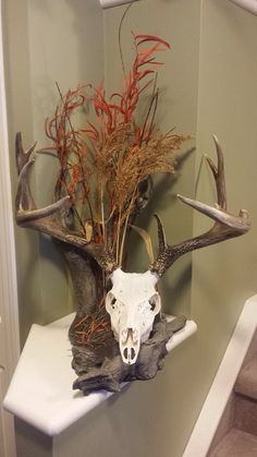 an animal skull with antlers and plants in it's mouth on a shelf