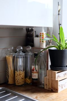 a potted plant sitting on top of a wooden shelf next to bottles and pasta