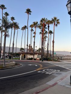 a street with palm trees on both sides and a light pole at the end in front of it