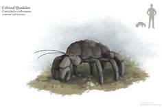 a drawing of a giant spider eating grass