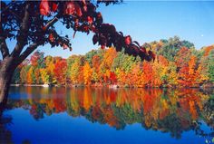 a lake surrounded by lots of trees with fall foliage on it's sides and blue sky in the background