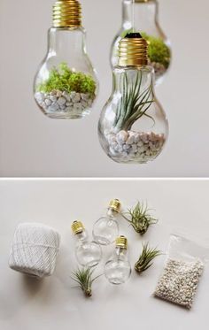 three light bulbs filled with plants and rocks