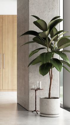 a potted plant sitting on top of a white table next to a candle holder