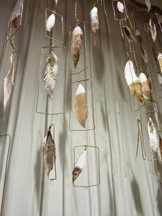 several different types of feathers hanging from metal bars on a wall with curtains in the background