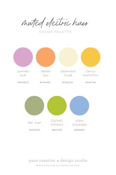 an image of the different colors of paint on a white background with text that reads matted electric liners color palette