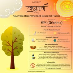 Ritucharya (ऋतुचर्या) - Ayurveda Recommended Seasonal Habits - Part 1 Rutucharya Ayurveda, Ayurvedic Clinic, Vata Dosha, Sanskrit Language, Ayurvedic Doctor, Sanskrit Quotes