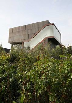 the house is surrounded by many bushes and trees, with a sloping roof over it