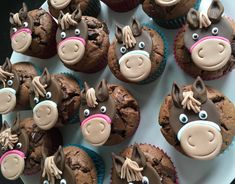 cupcakes decorated like donkeys with chocolate frosting on top and pink noses