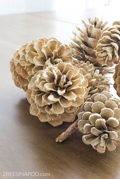 three pine cones sitting on top of a wooden table