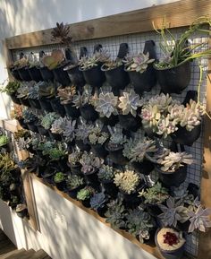 a wall mounted planter filled with lots of succulents and other plants