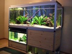 a fish tank with plants and other things in it sitting on top of a shelf