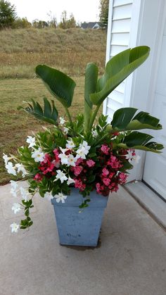 a potted plant with pink and white flowers on the front porch area next to a door