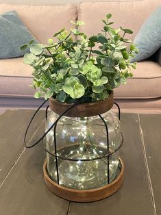 a potted plant sitting on top of a wooden table in front of a couch