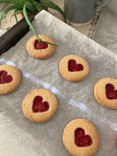 heart shaped cookies sitting on top of a cookie sheet next to a potted plant