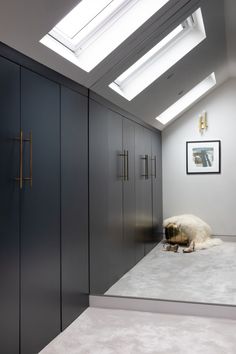 a dog is laying down in the middle of a room with skylights above it