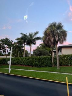 there is a kite that is flying in the sky above some trees and grass on the street