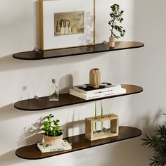 two shelves with plants and pictures on them