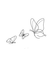 two butterflies flying next to each other on a white background with black lines in the middle