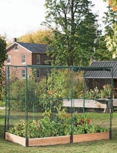 a garden in the middle of a yard with lots of green plants growing inside it