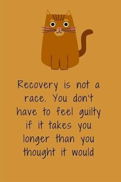 a brown cat with the words recovery is not a race you don't have to feel guilt if it takes you longer than you thought it would