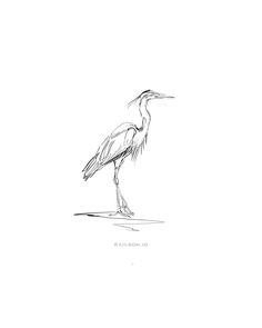 a black and white drawing of a bird standing on the ground with it's legs spread out