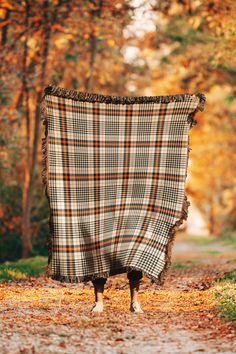 a blanket is draped on the side of a road with trees and leaves in the background