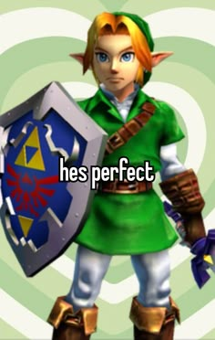 the legend of zelda is holding a shield with his name he's perfect