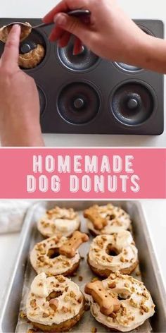 homemade dog doughnuts in a muffin tin with the words homemade dog donuts above them