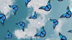 a group of blue butterflies flying through the sky with white fluffy clouds in the background