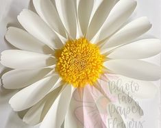 a white flower with yellow center sitting on top of a piece of paper next to a wall