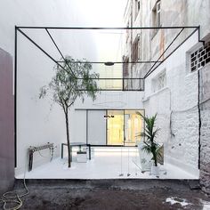 an indoor courtyard with white walls and plants