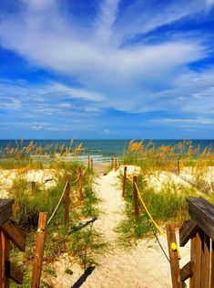 the path to the beach is lined with wooden posts and grass, leading into the ocean