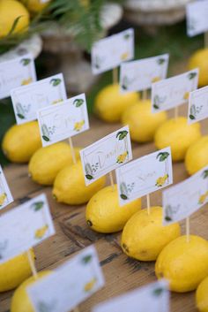 lemons are lined up on the table with place cards for each individual to put on them