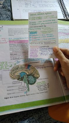 a person holding up a book with an image of a human brain on the page